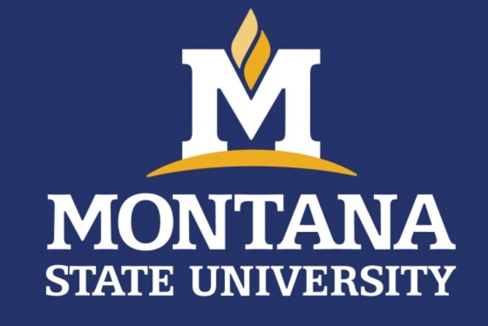 MSU College of Education, Health and Human Development to host showcase on Feb. 23