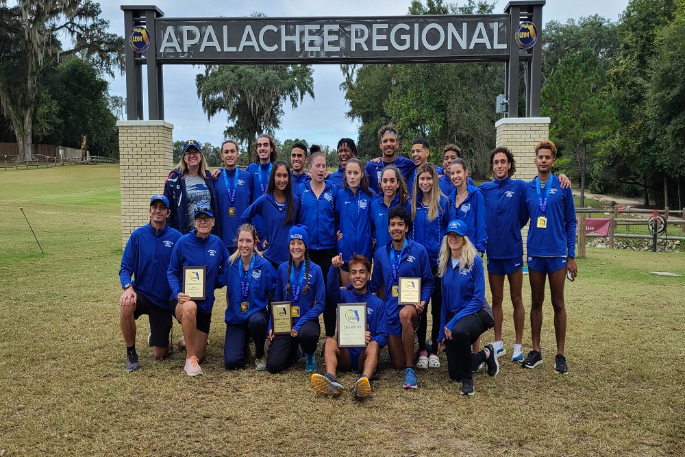 DSC Falcon Cross Country Runners Need YOU!