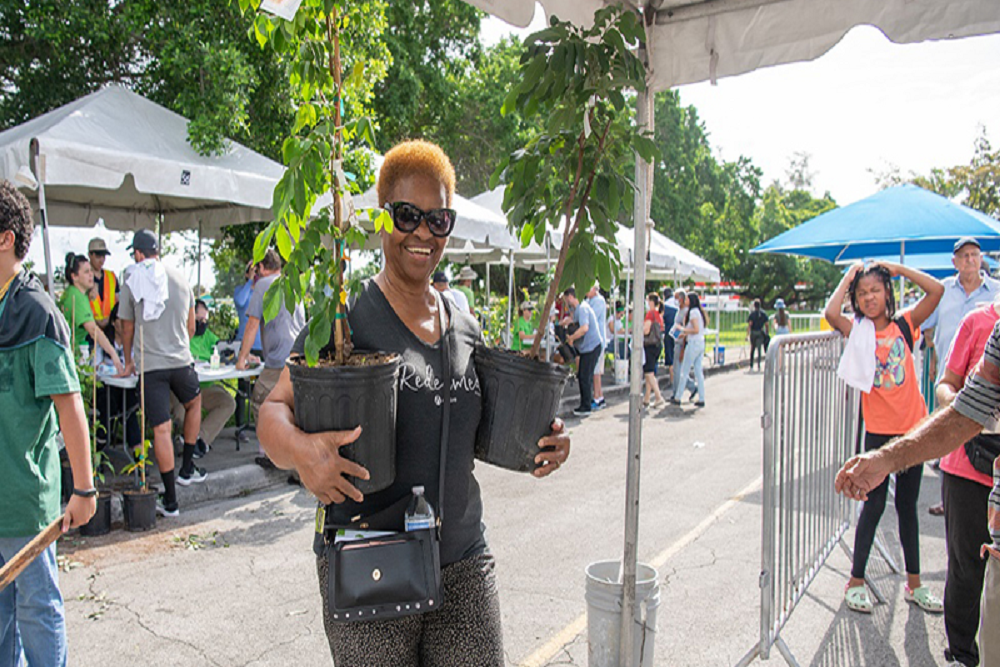 Pre-register to adopt a tree on July 16 Pre-register to adopt a tree on July 16