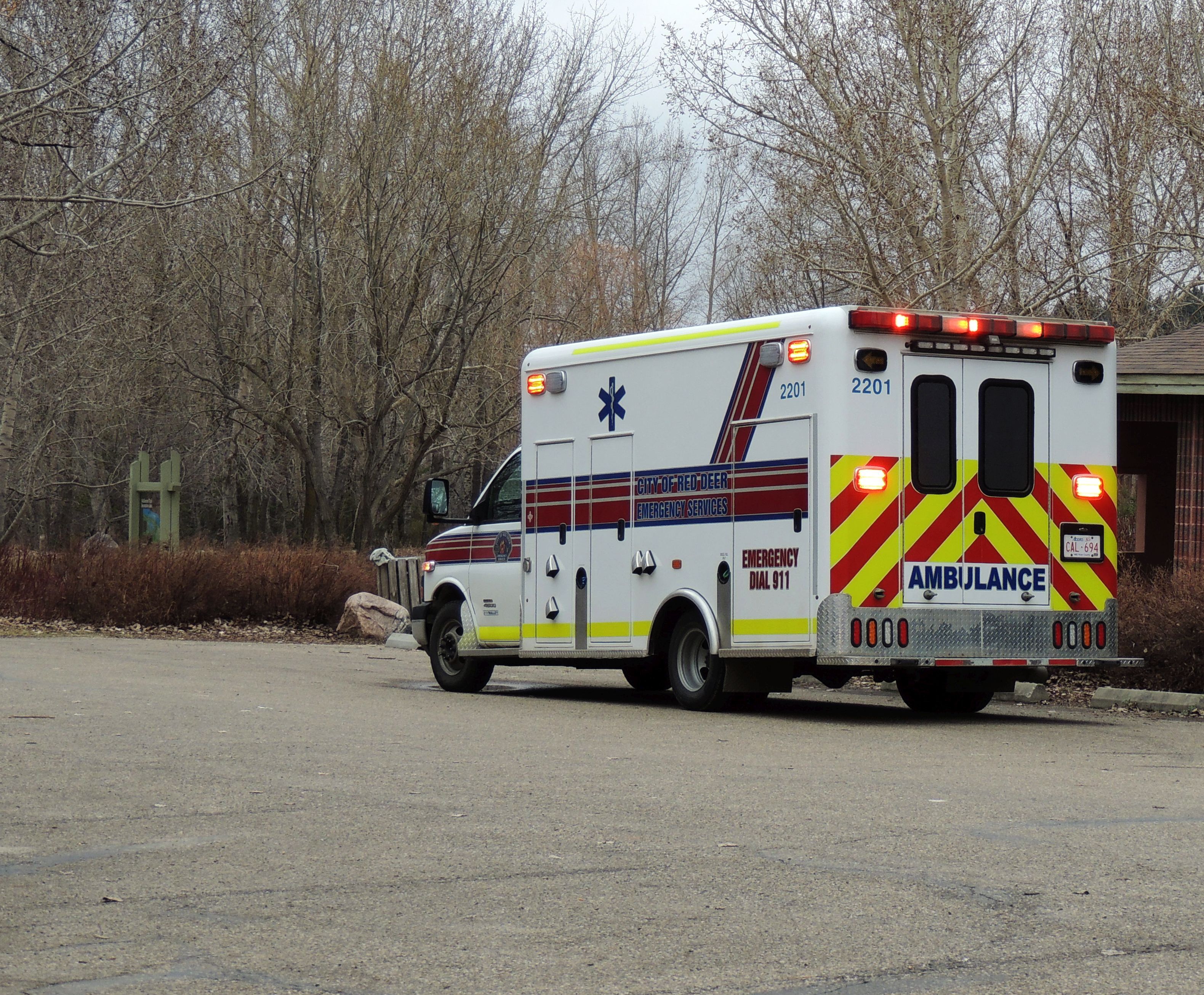 Emergency Services Committee