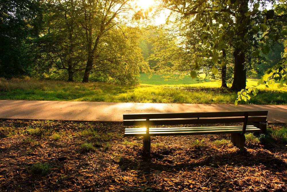 Des Moines Creek parkrun Des Moines Creek parkrun