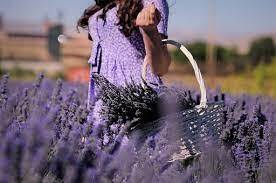 Pickin’ @ The Post on March 2 Pickin’ @ The Post on March 2