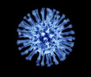 With Respiratory Viruses Circulating, 12 Bay Area Health Officials Recommend Actions to Stay Healthy for the Holidays With Respiratory Viruses Circulating, 12 Bay Area Health Officials Recommend Actions to Stay Healthy for the Holidays