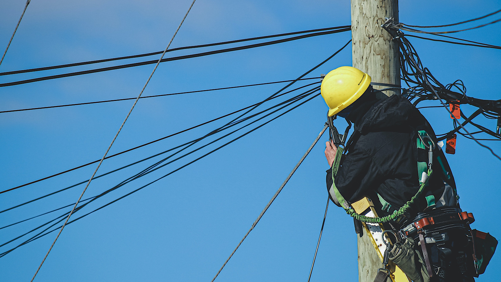 Residents, businesses requested to voluntarily conserve power: ‘ERCOT continues to use all tools available to manage the grid effectively and reliably’