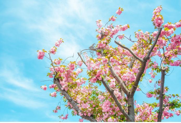 Spring Shredding events!