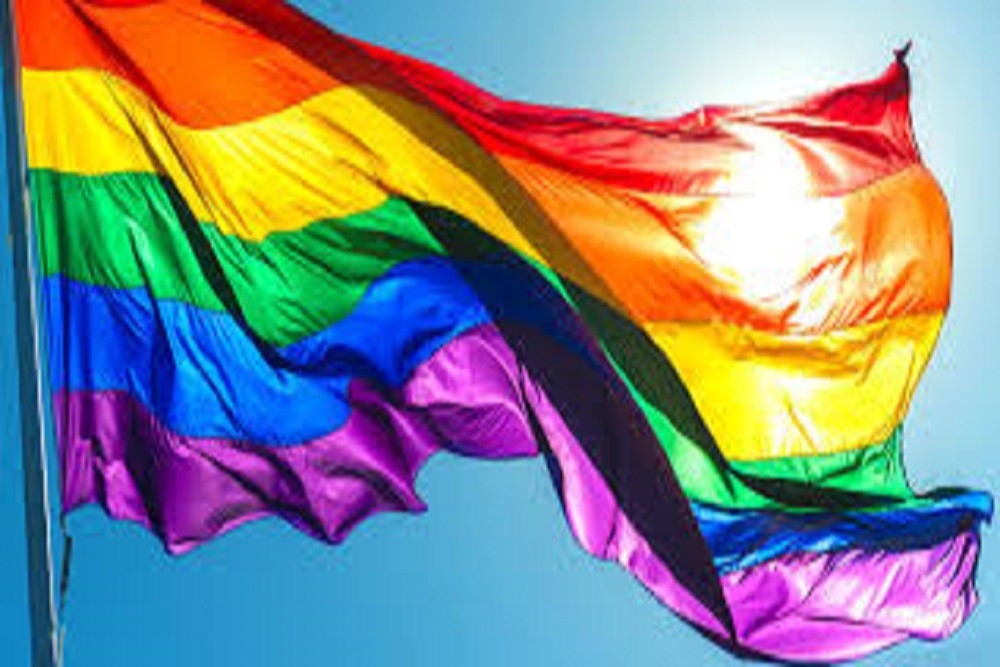 FAIRFAX COUNTY PUBLIC SCHOOLS: Fairfax County School Board Celebrates June as Pride Month
