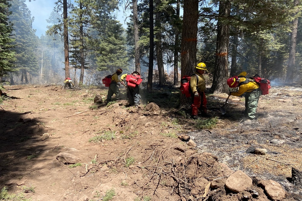 Mt. Taylor Hotshots