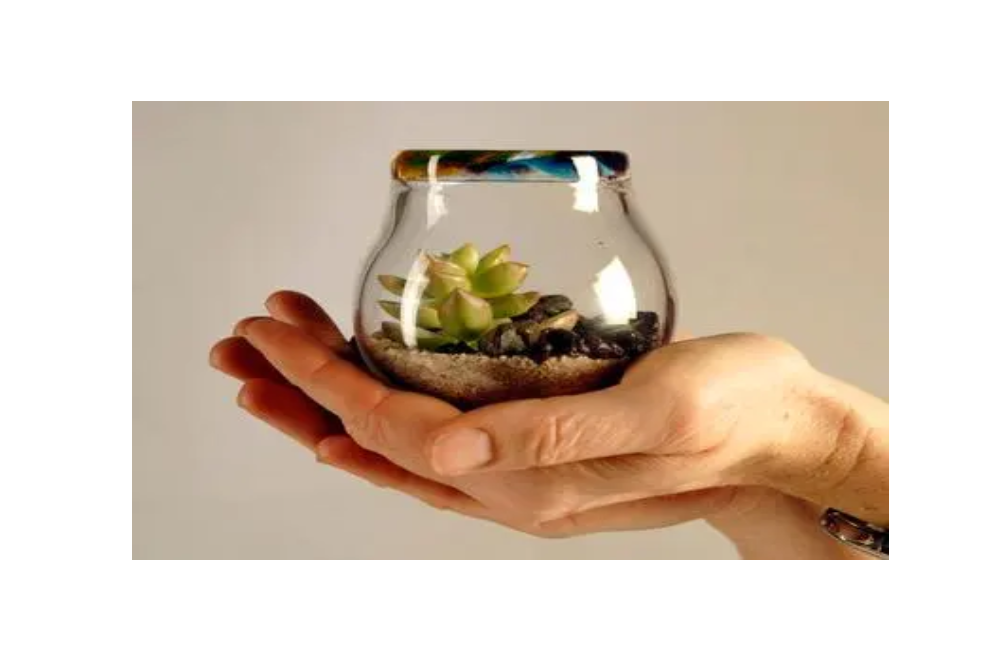 Terrific Terrariums Terrific Terrariums