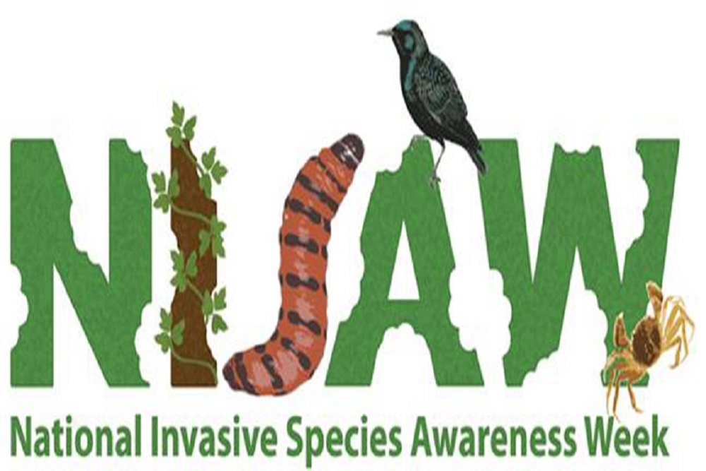 National Invasive Species Awareness Week on Feb 28 – March 4