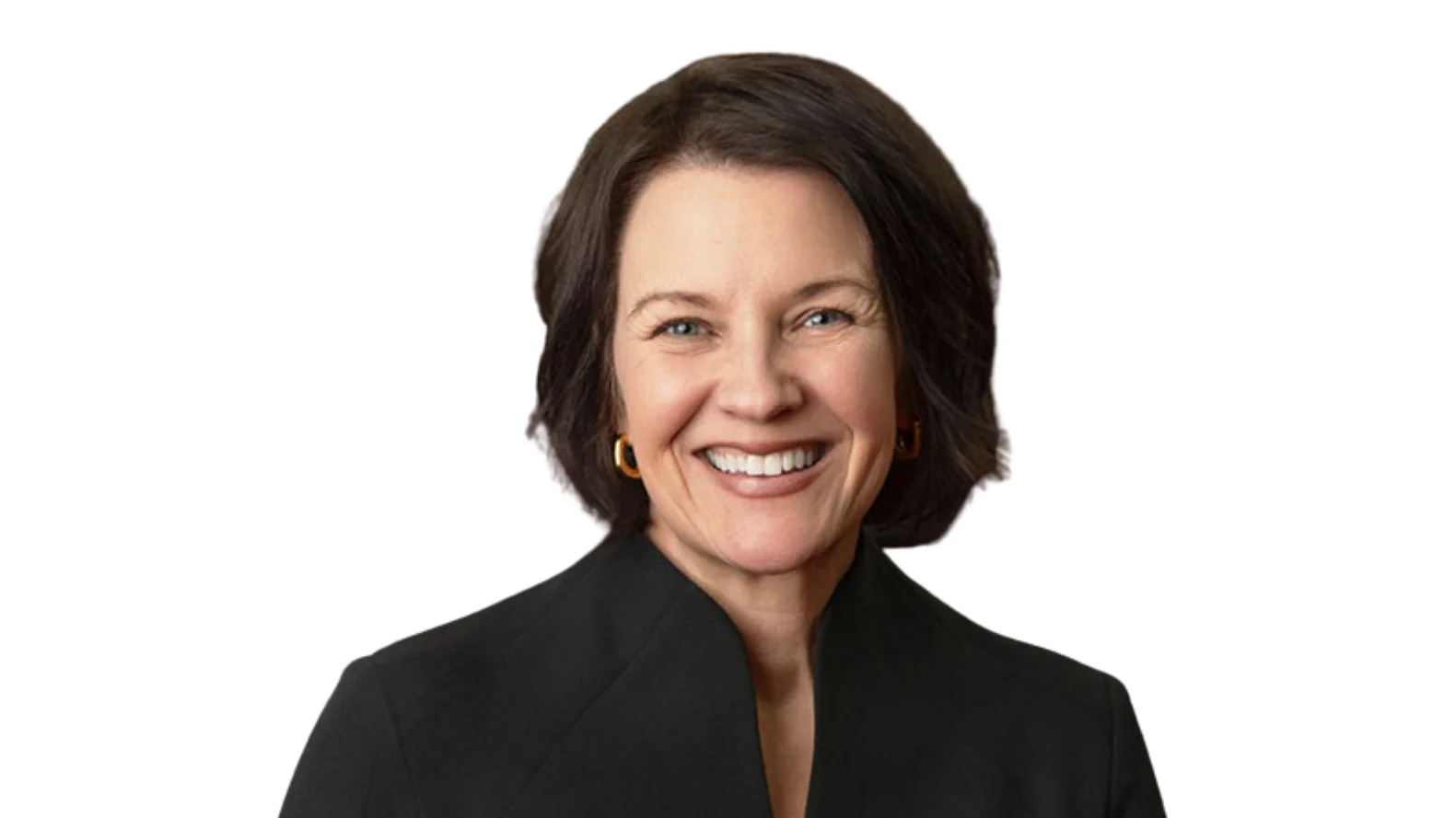 Bridget C. Duignan, President of Illinois Bar Association