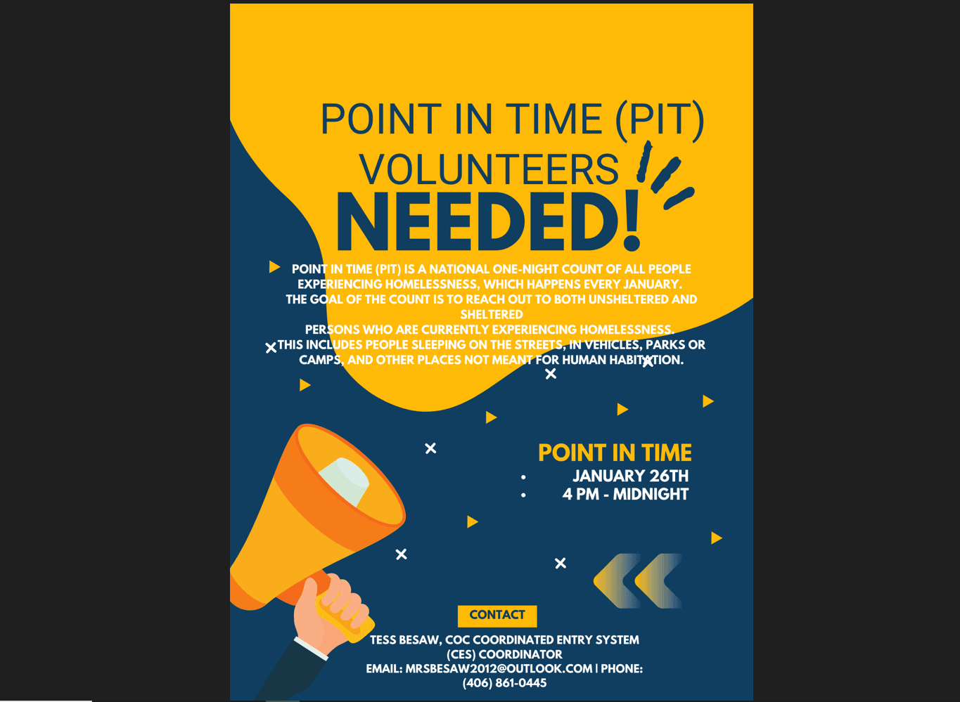 Point in Time count Point in Time count