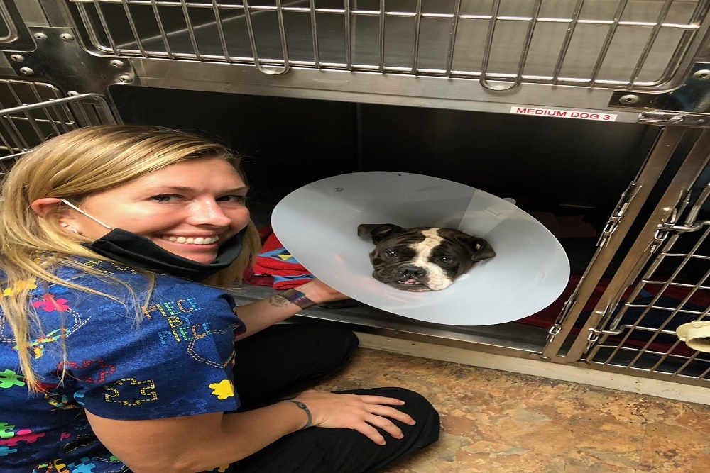 After Years of Success as Air Force Mechanic, Vet Tech Grad, Alisha Eisenhauer, Transforms Her Passion for Animals into New Career