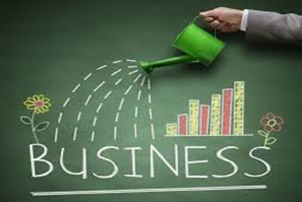 TOWN OF HUNTERSVILLE: Business Recovery Grant
