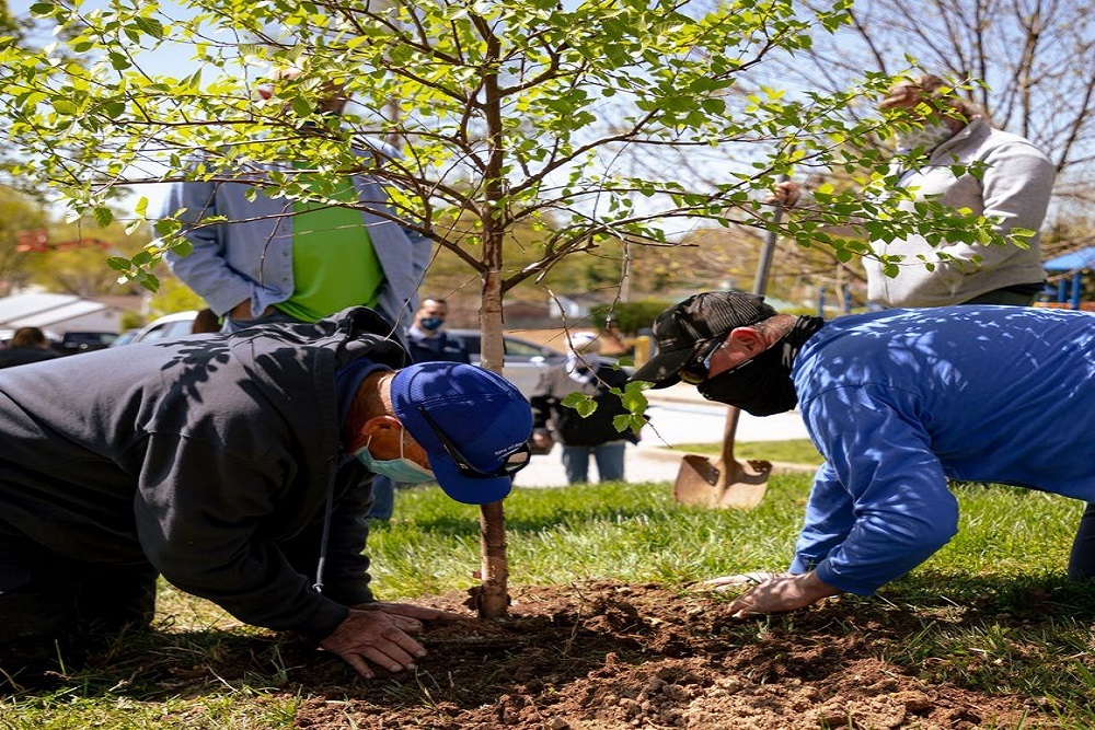 City of Maryland Heights Government – Tree Resource Improvement and Maintenance (TRIM)