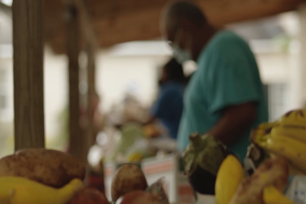 Hillsborough County Extends Support for Food Relief Programs Through American Rescue Plan Funding