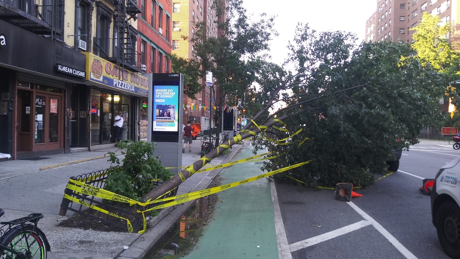 Hurricane Isaias caused wind damage up the East Coast as the ninth named storm this hurricane season. - By Jay Dobkin/Wikimedia Commons