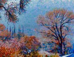 Winter Family Painting Session