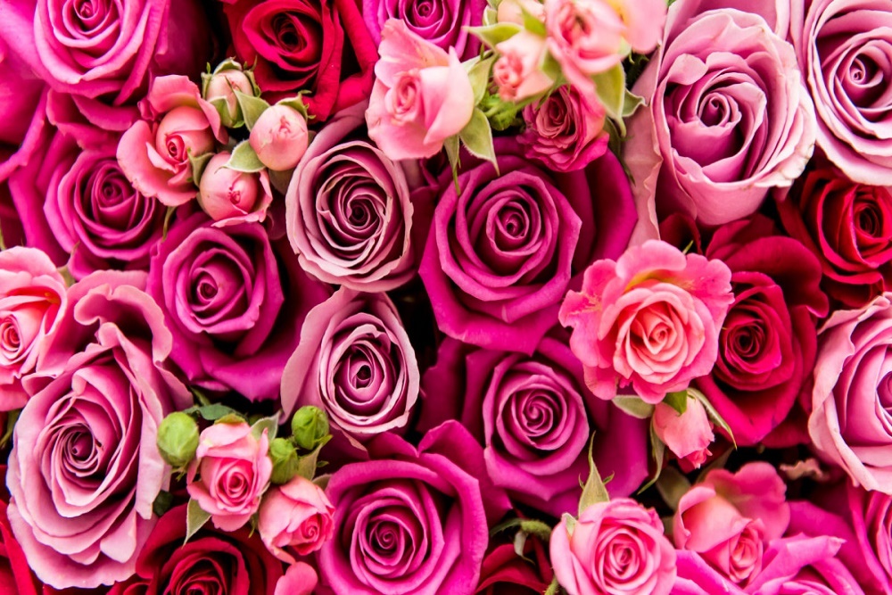 Valentine’s Day Dinner & Show at Timber Center on February 11