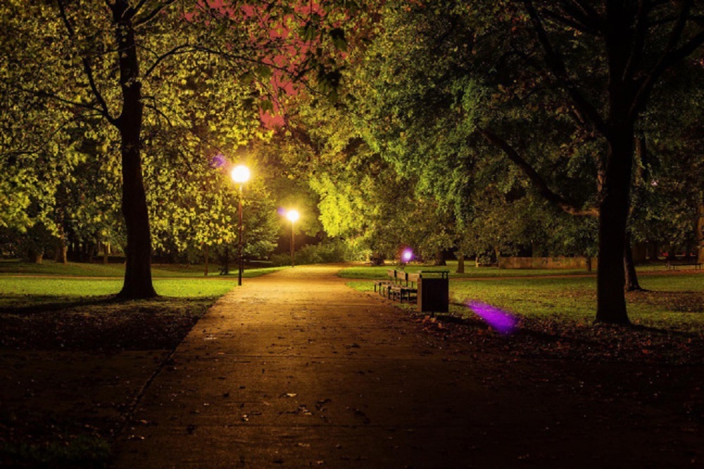 Study shows how artificial light affects seasonal rhythms of plants in U.S. cities
