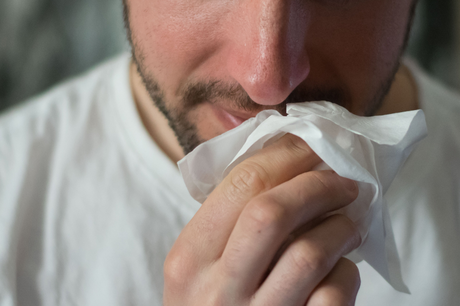 5 Tips for Surviving Allergy Season 5 Tips for Surviving Allergy Season