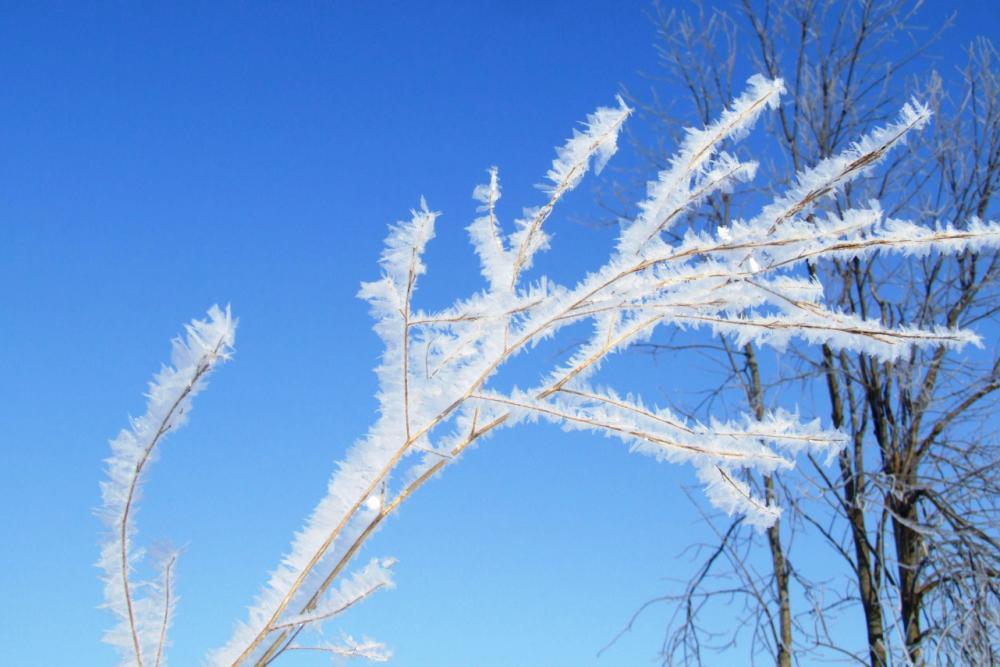 CITY OF WARROAD: What Can You Do This Fall or Winter in Warroad, MN…