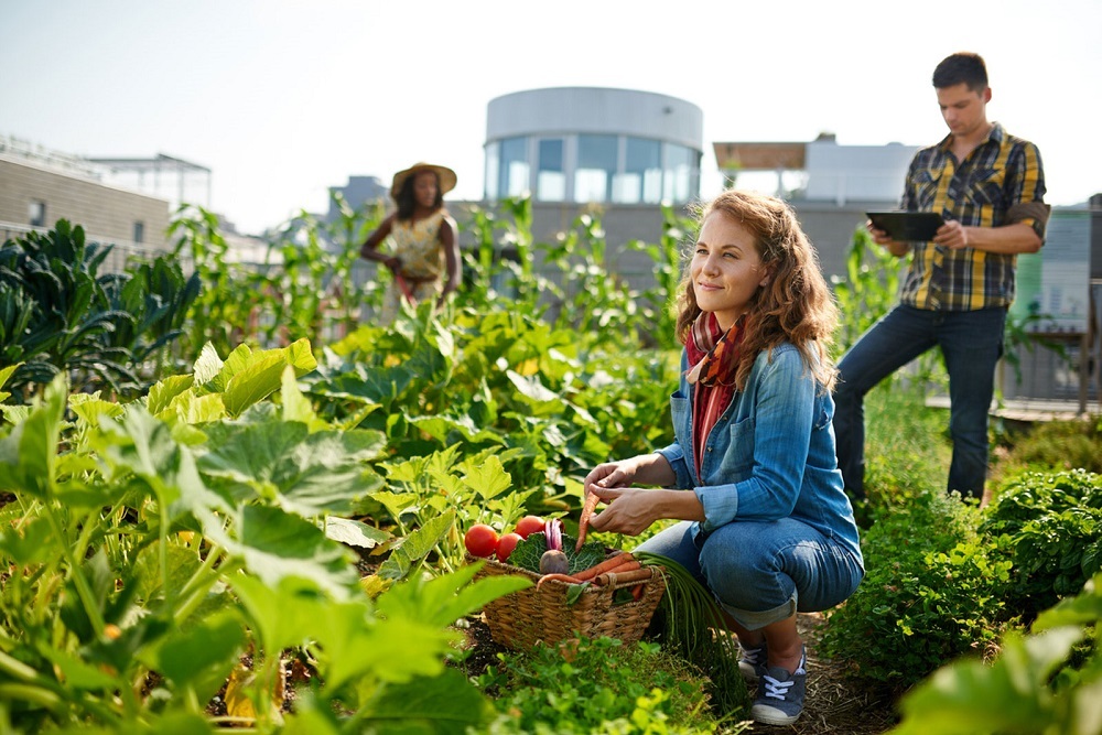CILA Presents: Healing through Mini Gardening on April 5, 2022