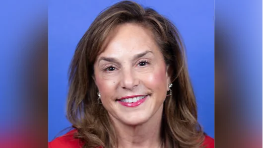 chairwoman lisa mcclain discusses legislative priorities amid democratic criticism