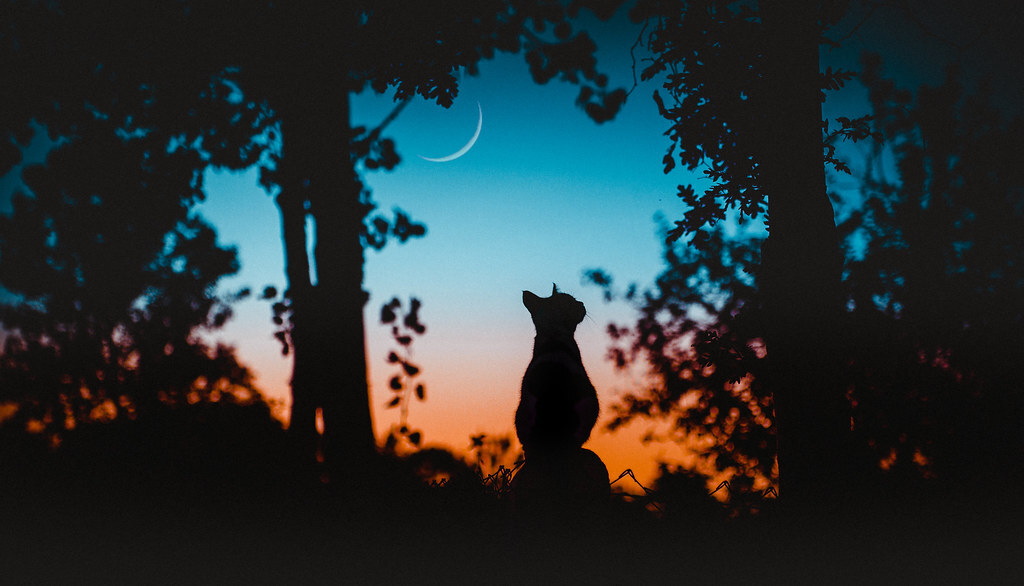 Writing Under the Full Moon on March 9