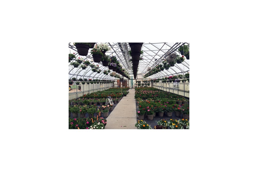 Volunteers in Corrections annual plant sale begins April 29