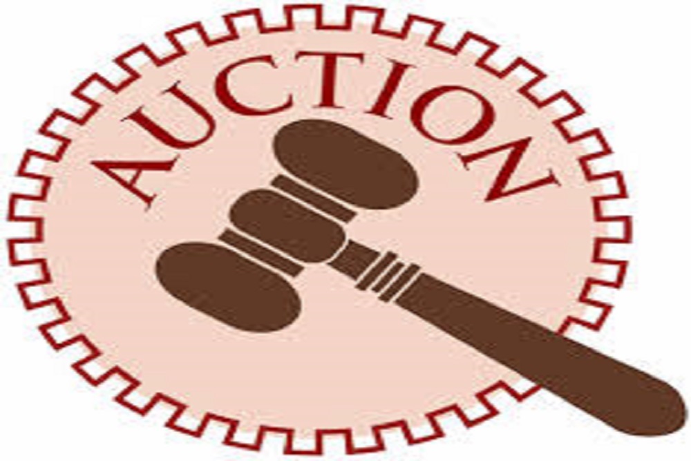 TOWN OF MAIDEN: Surplus Auction On May 7th