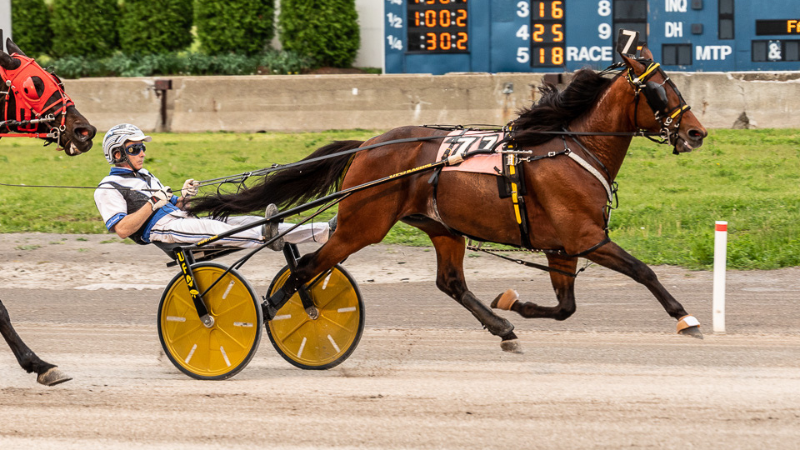 Village of Pinehurst – Government Announces the Invitation to The Spring Matinee Races