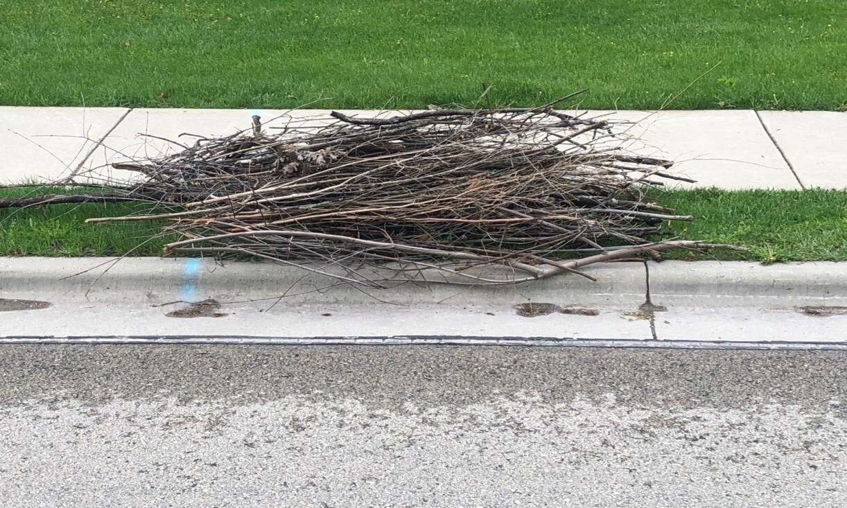 BRUSH AND LIMB COLLECTION