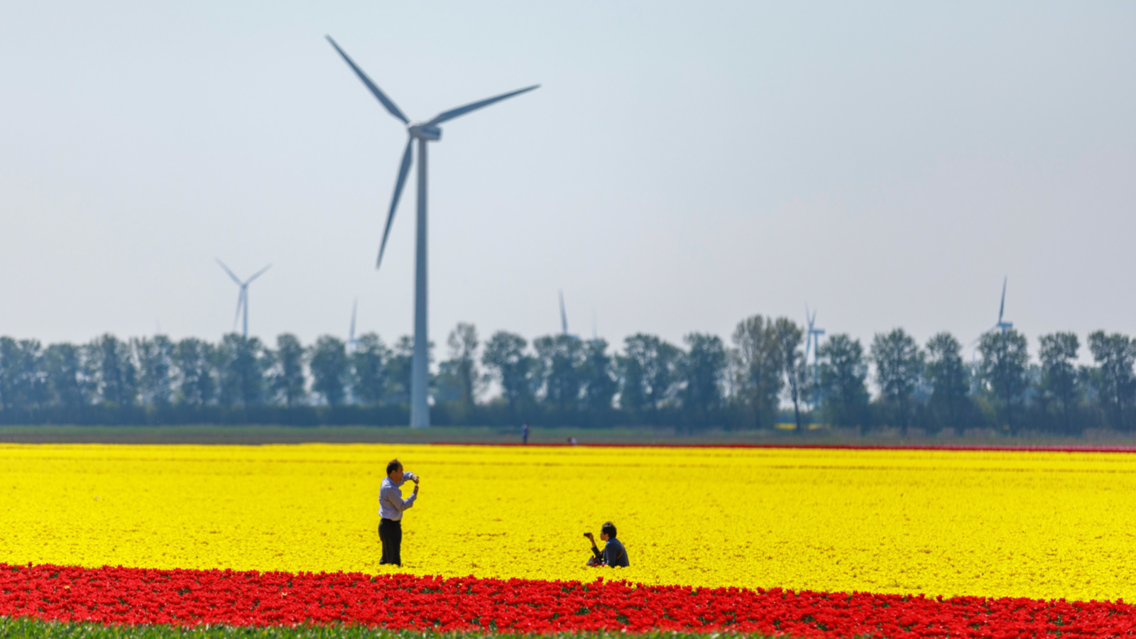 ‘Texas has a lot of advantages’: Texas named a leader in renewable energy