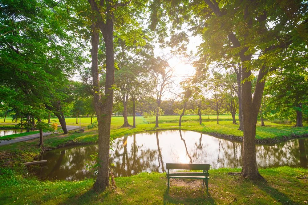 ARKANSAS DEPARTMENT OF PARKS, HERITAGE AND TOURISM – DIVISION OF ARKANSAS HERITAGE: Chuck’s Blog – “Exploring Arkansas From Above: Summer”