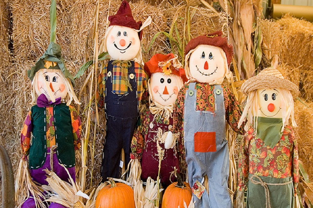TOWN OF MINT HILL: Scarecrows Voting
