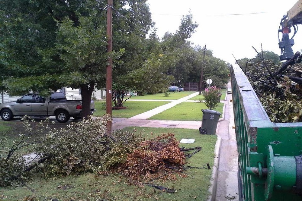 TOWN OF HOLLY RIDGE: Limits Vegetative Debris Pick-Up TOWN OF HOLLY RIDGE: Limits Vegetative Debris Pick-Up