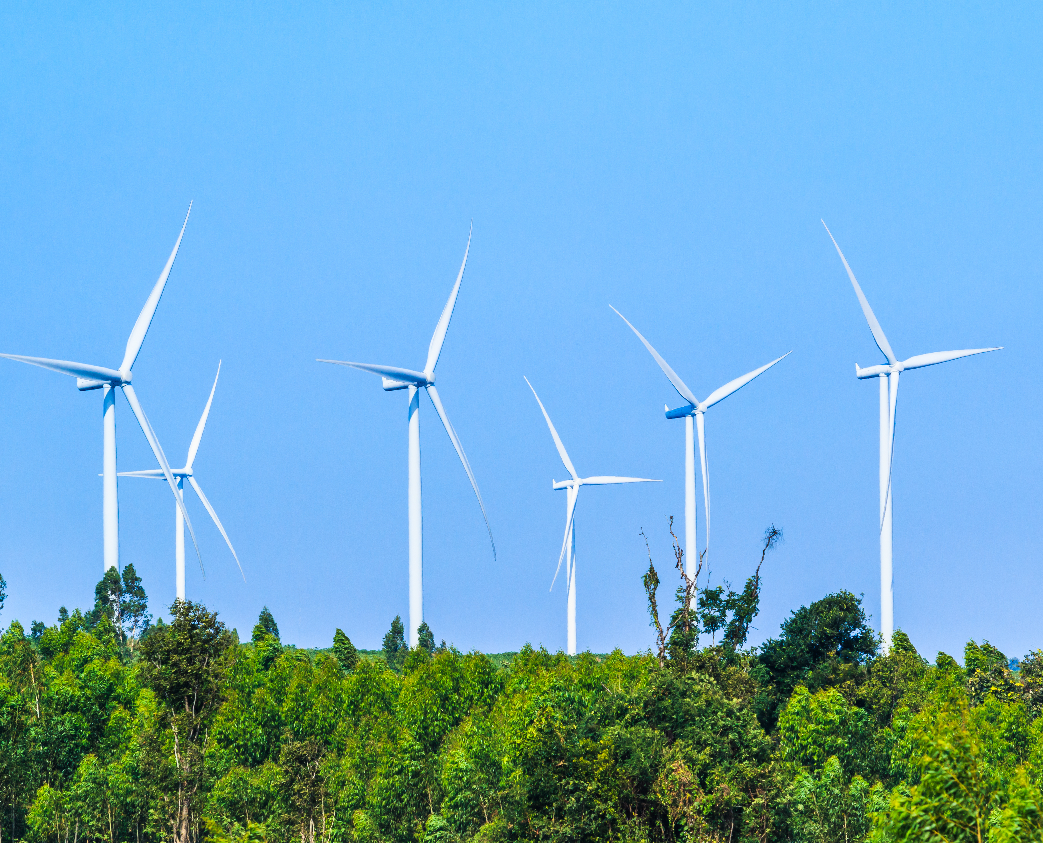 TOWN OF BEL AIR: Rockfield Park is going “Good Green”!