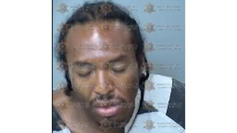 Lewis Bradley mugshot Lewis Bradley mugshot
