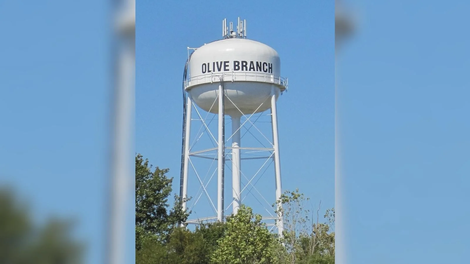 Olive Branch - wikipedia.org