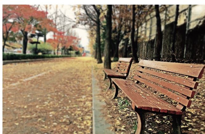 This week at our Maywood Campus