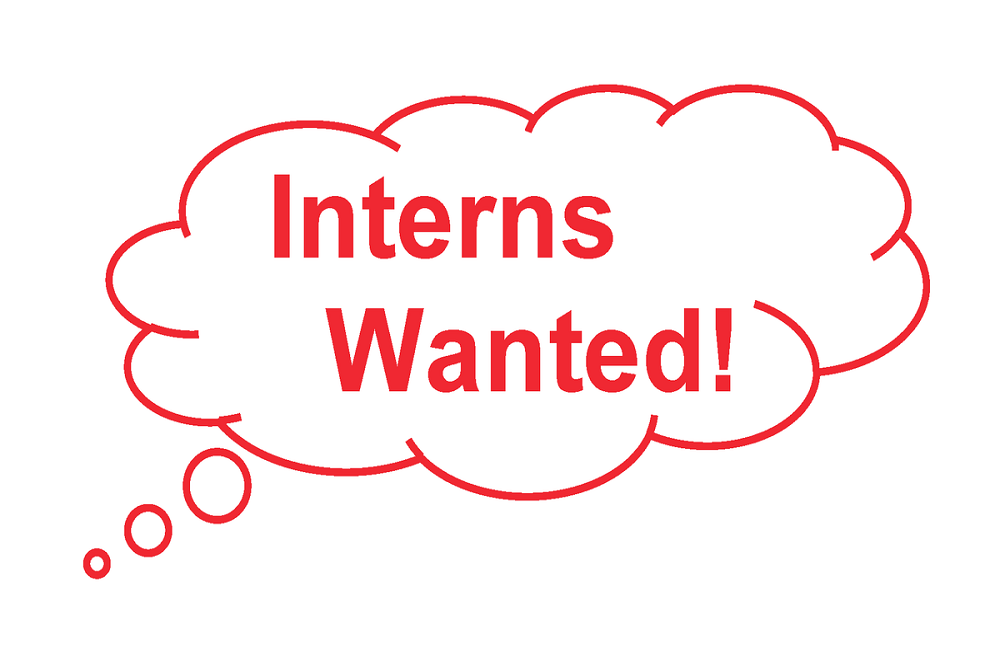 Governor Noem Accepting Applications for Summer Interns