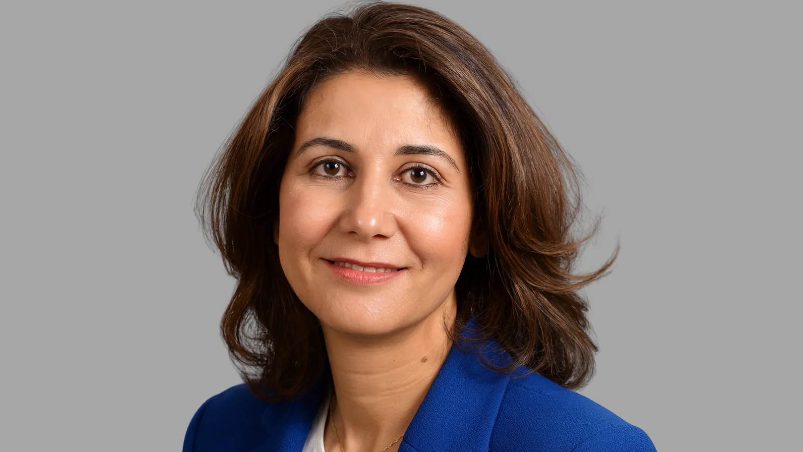 Haifaa Abdulhaq, M.D., Clinical Professor in Hematology and Oncology