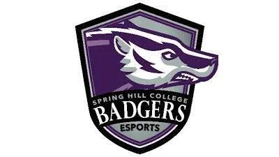 Spring Hill Badgers fall 2-0 to West Florida on March 17 matchup