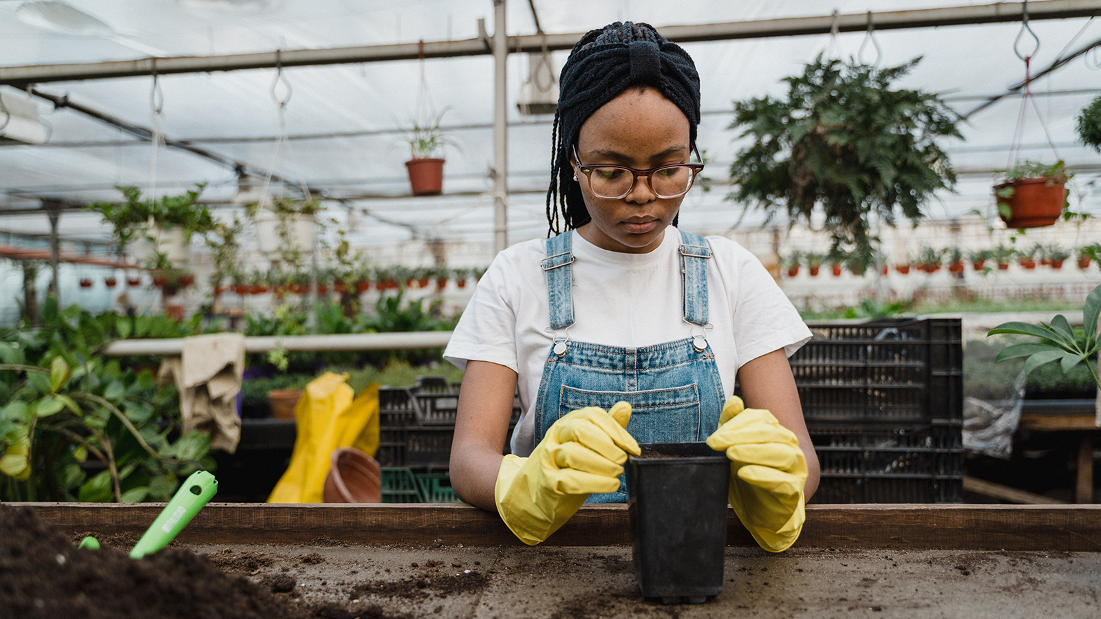 Door County librarian on Seed Library: ‘It makes a lot of sense to have something like this in a library’