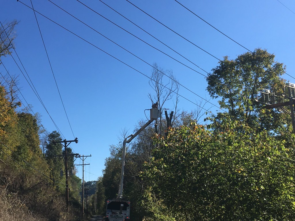 City of Columbia to Hold Public Forum on Utility Line Tree Trimming