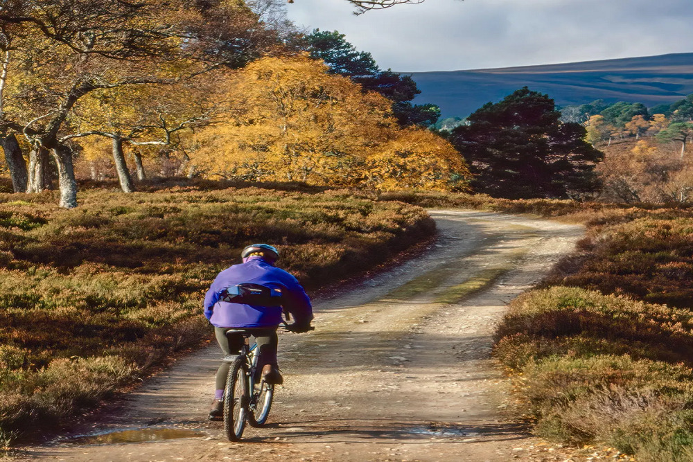 40th Annual Safari in Madison April 11 – 14