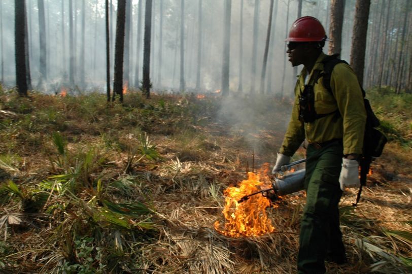 Custer Gallatin National Forest: Just Announced