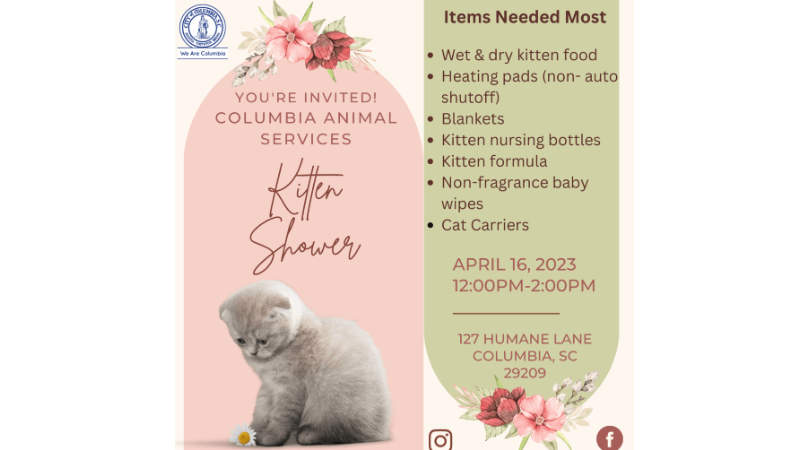 City of Columbia hosts Animal Services Hosting Kitten Shower on April 16, 2023