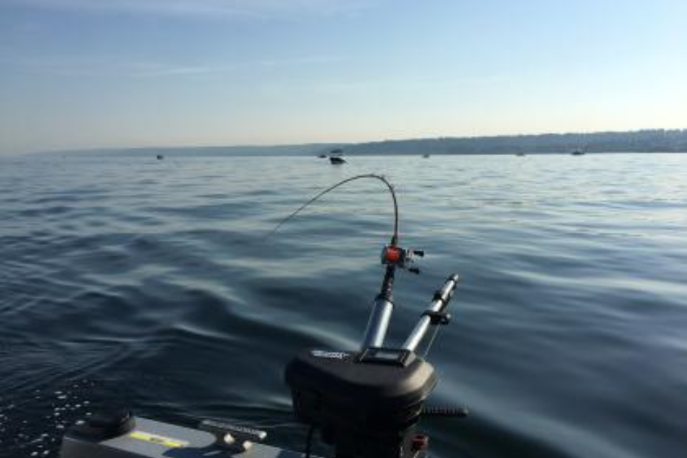 Committee members sought for Puget Sound recreational fisheries enhancement group