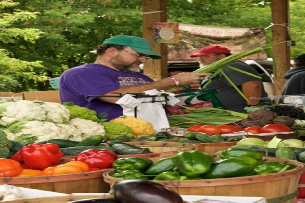 Clinton County Health Department Food Action Plan